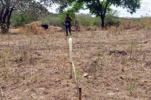 Bienvenidos a Petrocaribe Venezolana