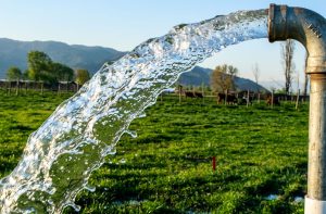 Desde 1974, en Petrocaribe Venezolana, S.A.